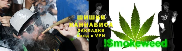 МДПВ Богородск