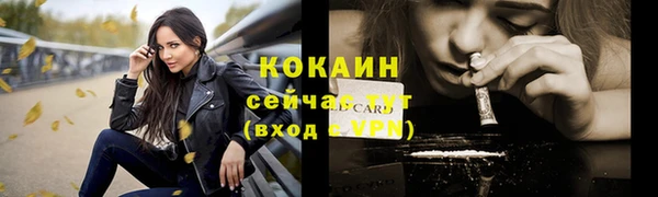 МДПВ Богородск