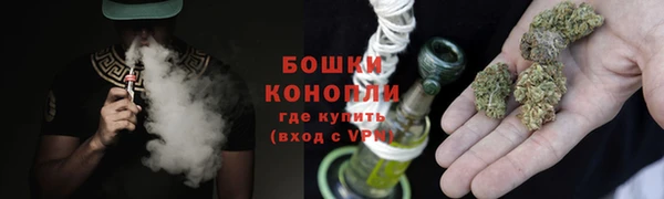 МДПВ Богородск