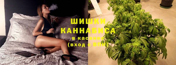 шишки Балабаново