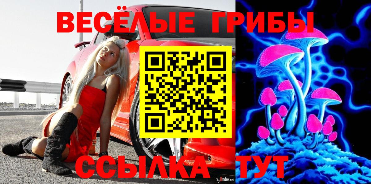 Дальнегорск  Псилоцибиновые грибы MAGIC MUSHROOMS  Вход с VPN 