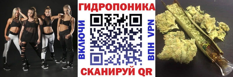 Конопля White Widow  Дальнегорск 